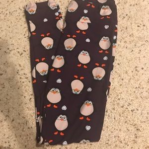 Lularoe OS hipster penguin leggings